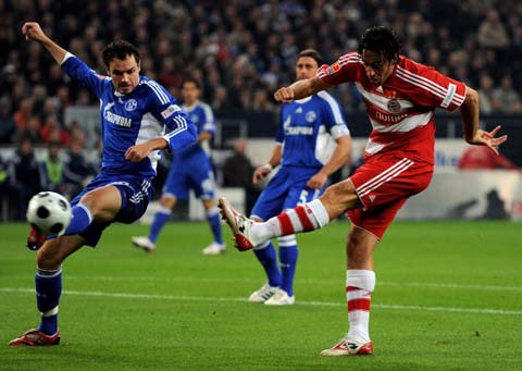 迷的忠诚度 迷的忠诚度